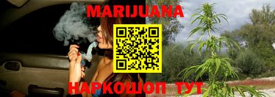 крисы Ирбит