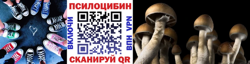 Псилоцибиновые грибы Psilocybe  Менделеевск 