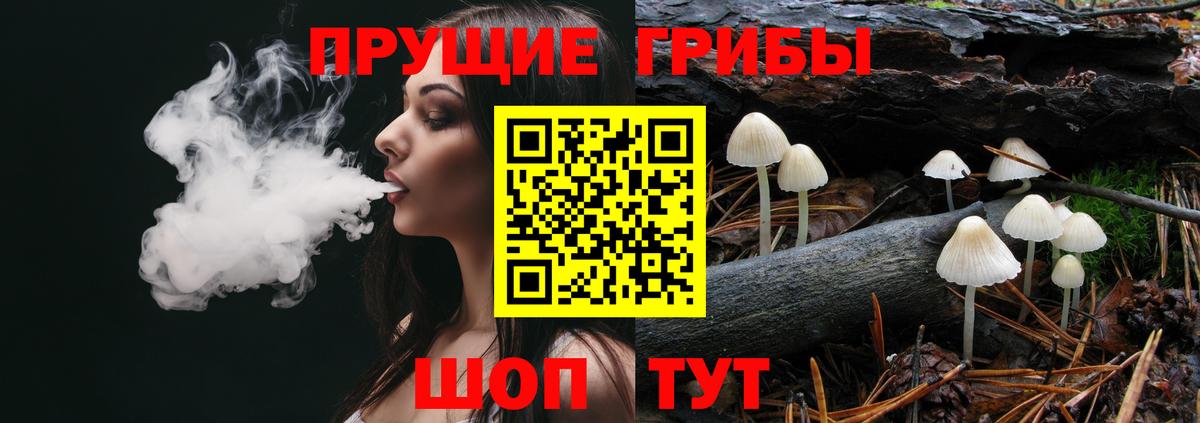 Менделеевск  купить   Галлюциногенные грибы Magic Shrooms  Вход с VPN  Галлюциногенные грибы GOLDEN TEACHER 